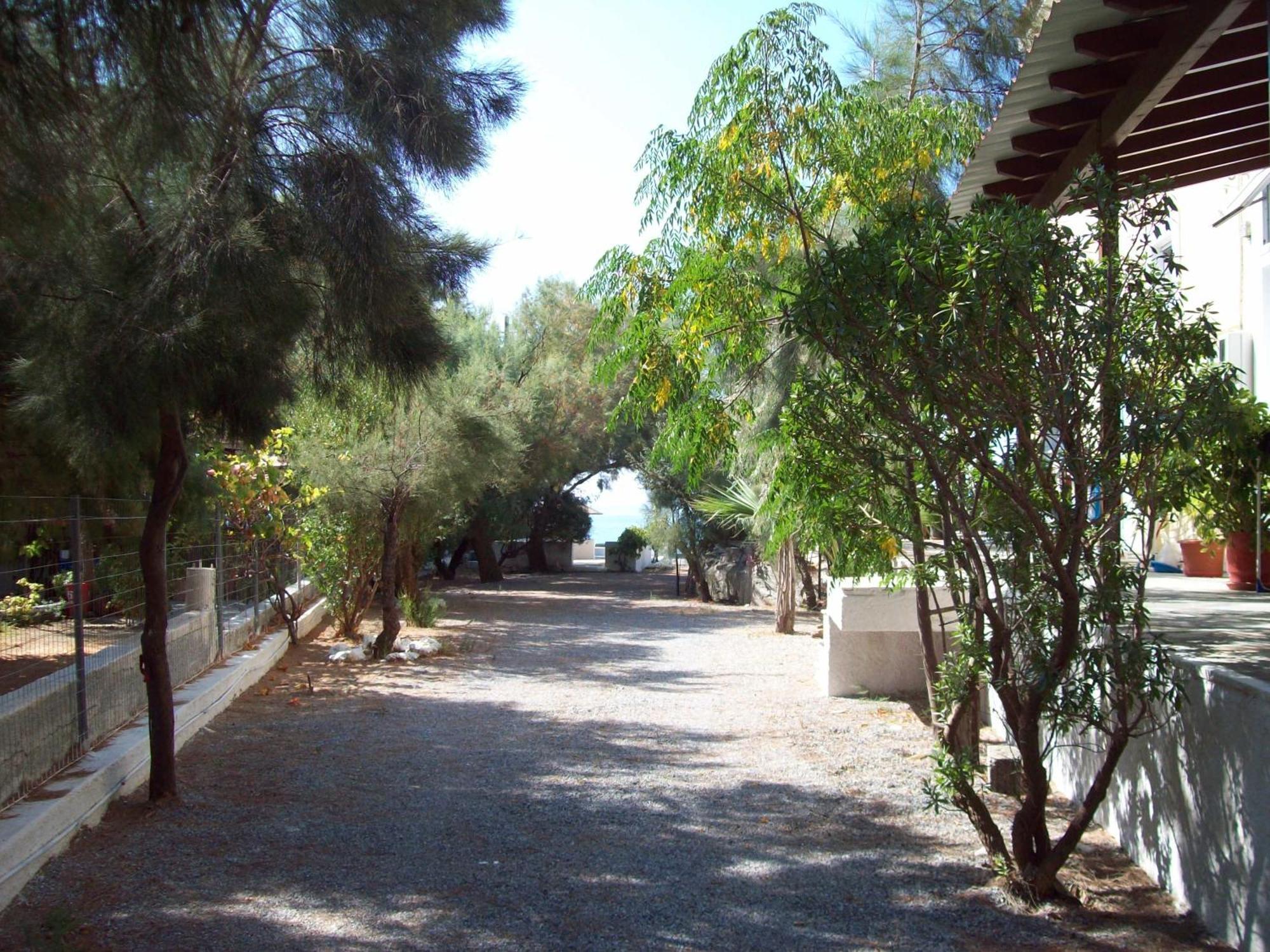 Oasis Studios Psili Ammos  Exterior foto